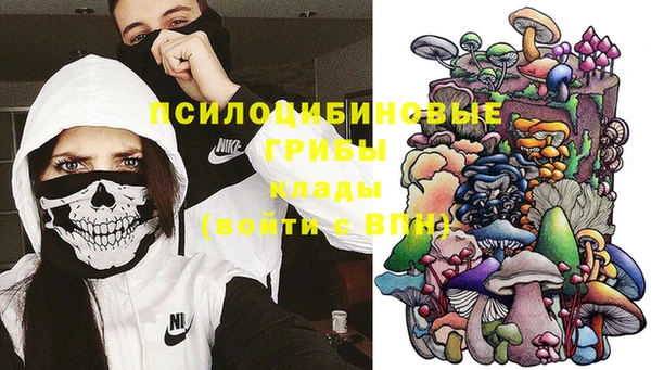 MESCALINE Аркадак