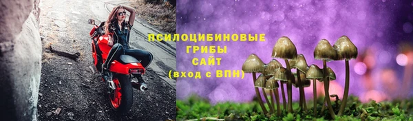 метадон Арсеньев