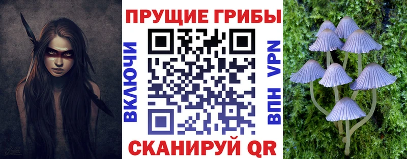 Псилоцибиновые грибы прущие грибы Калачинск