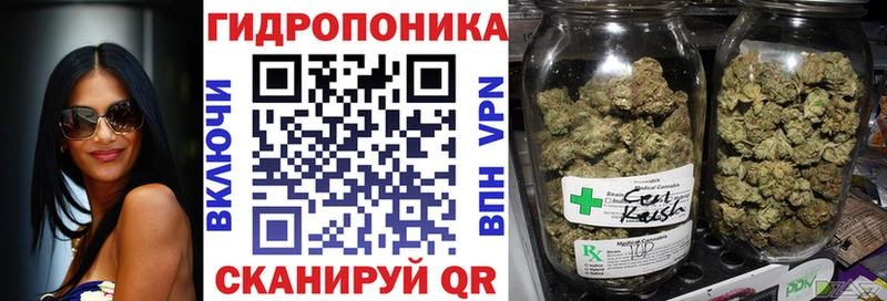 Каннабис планчик  Калачинск 